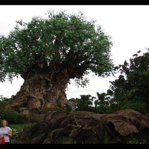 Meet your Posher, Cassidy